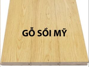 go-soi-my