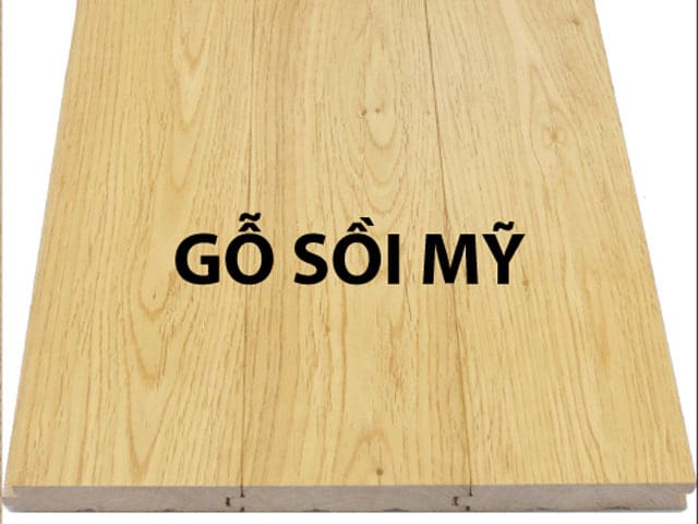 go-soi-my