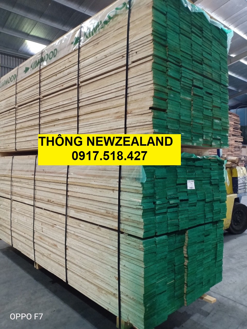 cập nhật giá gỗ thông nhập khẩu New Zealand